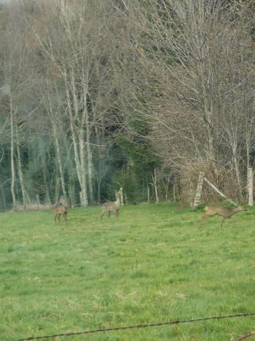 Vila La Magie Entre Deux Lacs Gérardmer Exteriér fotografie