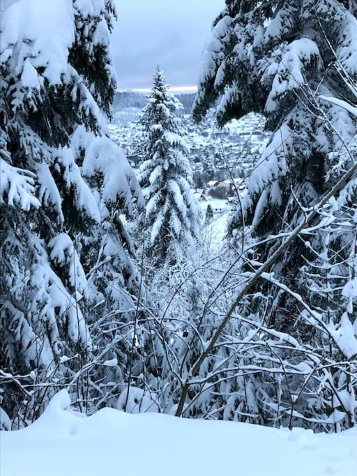 Vila La Magie Entre Deux Lacs Gérardmer Exteriér fotografie