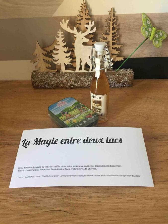Vila La Magie Entre Deux Lacs Gérardmer Exteriér fotografie
